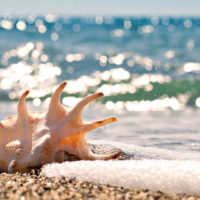 vacanze inchiostrate
