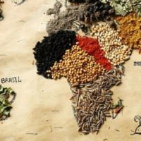 alimentazione copertina