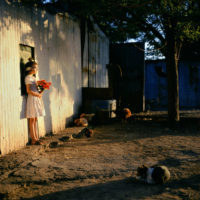Alessandra Sanguinetti, Dal libro The Adventures of Guille and Belinda.