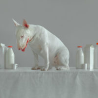 ©Evelyn Bencicova dalla serie (an)organic