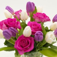 fiori e piante copertina