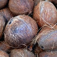 noci di cocco e marinai